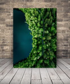 Obrázek lesní cesty u jezera