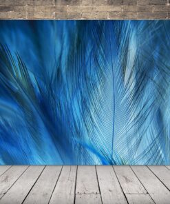 Obraz Modrého Peří