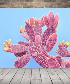 Obrázek růžového kaktusu