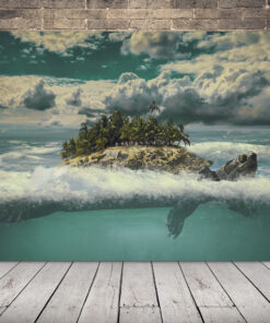 Obrázek Paradise Turtle