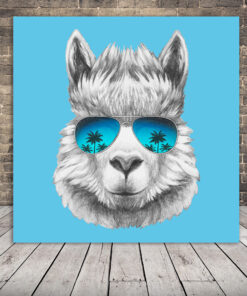 Obrázek Lamy s brýlemi