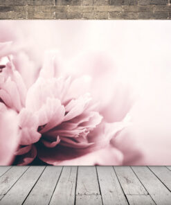 Obrázek Beige Pivoňka