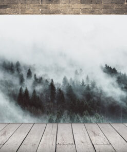 Obrázek lesa v mlze 2