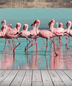 Obrázek plameňáků ve vodě