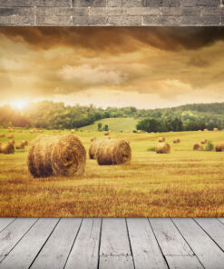 Obrázek Sheaves of Cereal