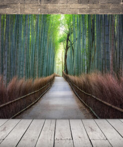 Obrázek lesa v Japonsku