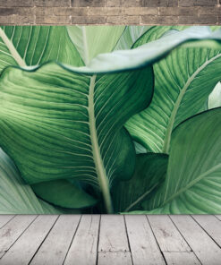 Obrázek tropického listu