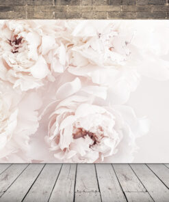 Obrázek Pastelové pivoňky