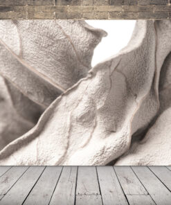 Obraz Sušených Listů