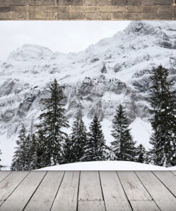 Zimní obrázek v horách