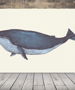 Obrázek modré velryby