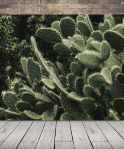 Obrázek Opuncie s hroty