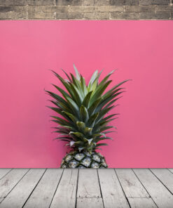 Obrázek Ananasu Na Růžovém Pozadí