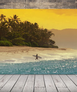 Obrázek havajského surfaře