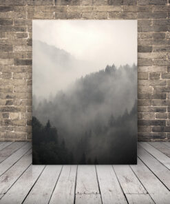 Obrázek lesa v mlze