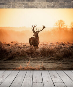 Obrázek Jelena V Ríji