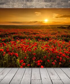Obrázek Poppies About West