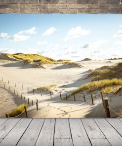 Obraz pouštních písečných dun