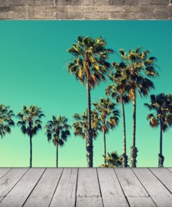 Obrázek zelené palmy