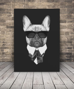 Obrázek Psa V Košili