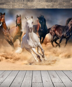 Obrázek běžících koní 2