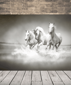 Obrázek bílých koní