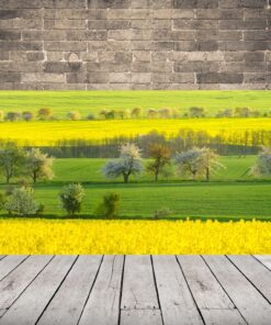 Obrázek jarní barvy