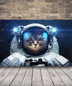 Obraz kosmonautské kočky