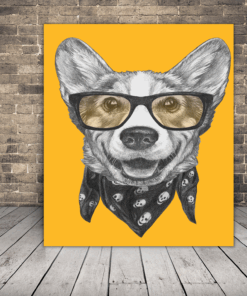 Obrázek psa v brýlích