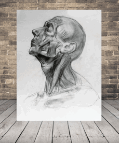 Obraz Portrét Muže