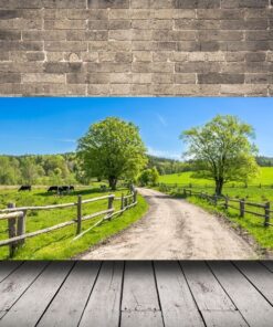 Obrázek venkovské krajiny