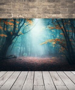 Obrázek lesní záře