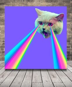 Obraz bláznivé kočky