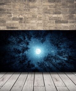 Obraz měsíce mezi stromy