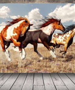 Obrázek běžících koní