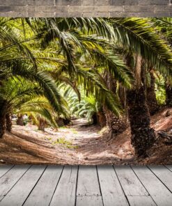 Obraz palmy na pláži