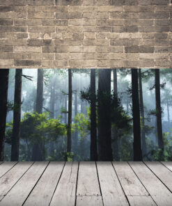 Obraz mlhavého rána