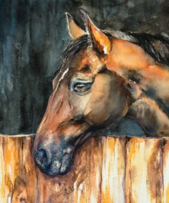 Obrázek koně ve dvoře