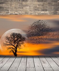 Obrázek Stromu Na Pozadí Slunce.