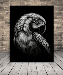 Obrázek papouška ara 2