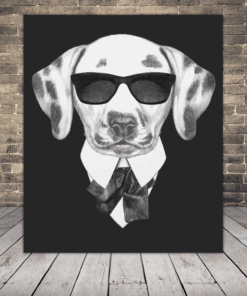 Obraz Dalmatina S Brýlemi