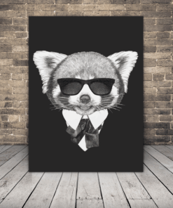 Obrázek pandy červené s brýlemi