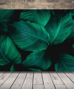 Obraz Tropických Listů 2