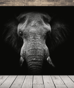 Obraz portrétu slona