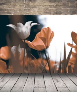 Obrázek jarních tulipánů