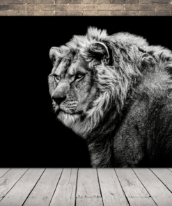 Obrázek bílého lva