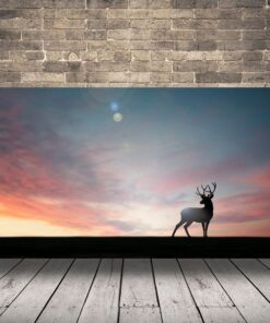 Obrázek jelena při západu slunce