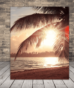 Obraz palmy a slunce