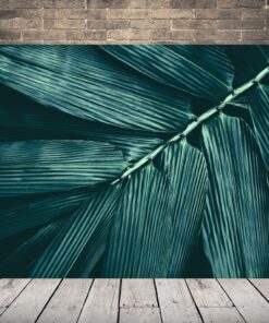 Obraz Bambusového Listu