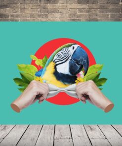 Obrázek elegantního papouška